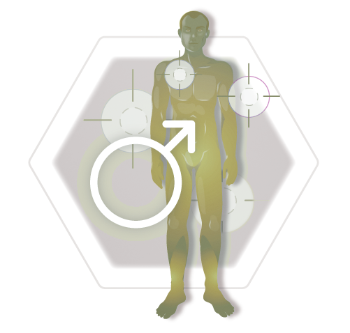 Icon Illustration body regions men